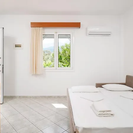 Apollonio * 크리시 아모우디아